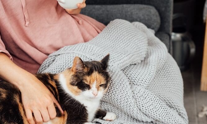 Close-up,Woman,In,A,Plaid,Drinking,Hot,Tea,,Petting,A